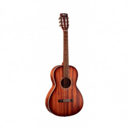 GUIT ACUST AP550M OP